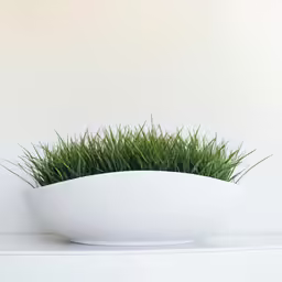 a white bowl holding green plants in it