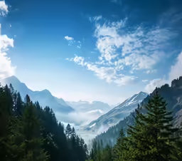 some trees and mountains in the distance on a sunny day