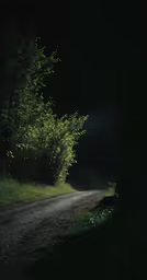 the light on a street shines bright in the dark