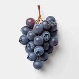 grapes in shape of a bird on the branch