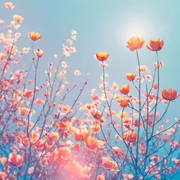 a field with flowers growing in the middle of the day