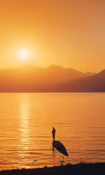 a person standing on top of a bird near the ocean