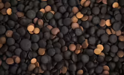 many beans and lentils are shown on top of each other