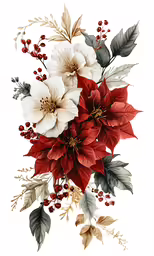 a drawing of poinsettis and leaves on a white background