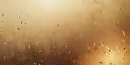 a blurry image of grass in the foreground