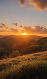 an image of a setting sun with mountains and grass