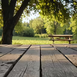 an empty picnic table near some benches in the distance
