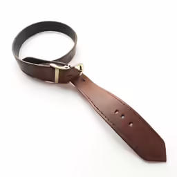 a dog leash with two gold chains hanging from it