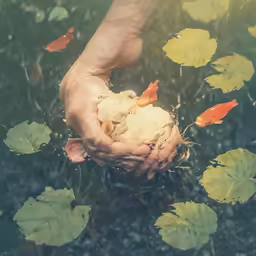 two hands are holding leaves as they float in a pond