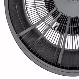 the black and white fan has no one inside it