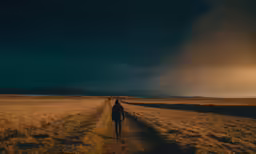 a man walking down a dirt path during the night