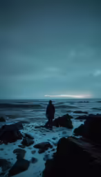 the person is standing on rocks near the ocean