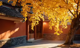 yellow leaves on the tree and building behind them