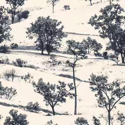 several trees and bushes are on a snowy hillside