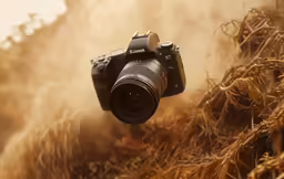 a camera is in a group of very dried plants