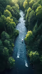 boats traveling down a canal between trees