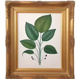 a painting of green leaves hanging on a gold frame,a painting of leaves in a golden frame