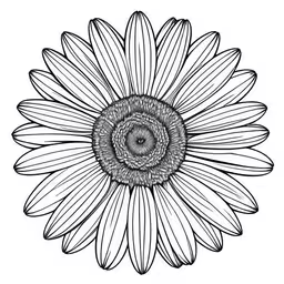 a flower that is very detailed,a sunflower flower with a round black and white picture of a flower in a vase,a black and white drawing of a sunflower,the flower petals have white petals that are very large and can be seen on the stem,the circular flower, drawn by a pen and ink, on paper