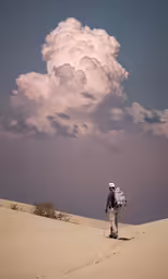 person on skis walking through desert area