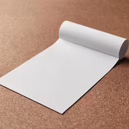 a roll of white paper is shown on the ground