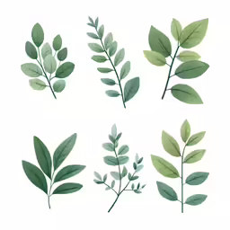 green leaves on a white background