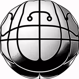 a black and white picture of an object in the middle of a circle,an image of a ball that has an odd shape