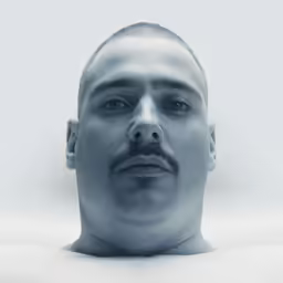 a male head with an mustache and a moustache