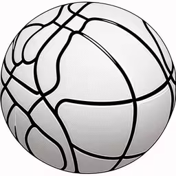 the ball is in a black and white basketball,a white and black colored basketball on a white background