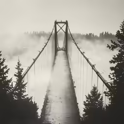 black and white photograph of a suspension bridge in fog