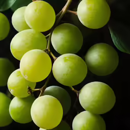 closeup of green grapes and leaves