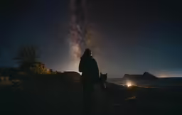 a person is walking towards the stars with a dog