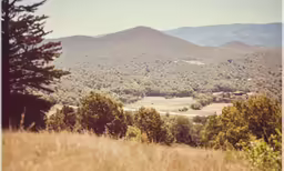 a mountain landscape covered in trees and grass