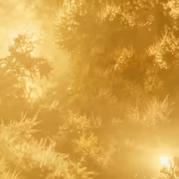 a bird perched on the top of a branch at sunrise