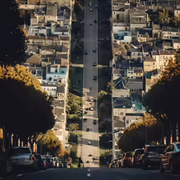 a street leading to houses with a street lined by trees