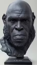 the head of an adult gorilla with a beard and wearing a face mask