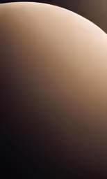 a closeup of a light brown sphere