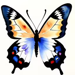 this is a watercolor painting of a butterfly