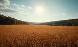 a view of a field with mountains and sun shining in the background