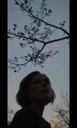 a person under a tree with a sky background