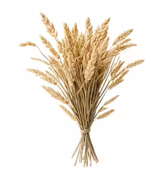 some type of plant that is in a vase