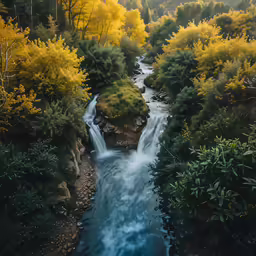 a waterfall running down into a lush green forest