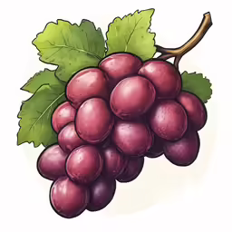 the red grape with leaves on white background