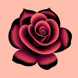 red flower with black petals on a pink background,the flower has a pink center on a light pink background,a red and black rose is shown in an art print,a single red flower with black leaves on the petals,a flower with red petals on a pink background