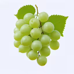 some white grapes hanging from a green branch