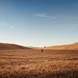 the lone man is walking in an open field