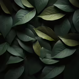 the leaves on a wall are very large