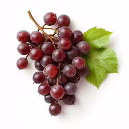 the purple grapes on the stem with a green leaf