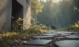 flowers growing beside stone steps in an out doored area