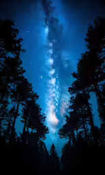 the night sky with stars and trees surrounding it