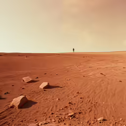 a lone person walking across a desert in the distance